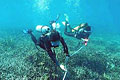 divers_260906