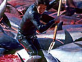 dolphin-slaughter_270207