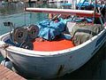 driftnet_101006