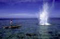 dynamite%20fishing_250307