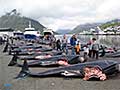 faroe_050911