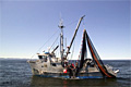 fishing-boat_030208