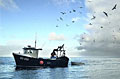 fishing-boat_270911