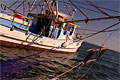 fishing-boat_280709