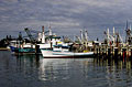 fishing-oz_070111
