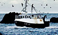 fishing_190711