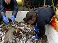fishing_240108