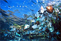 flotsam_050208