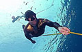 free-diver_240809