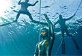 freedive_260111