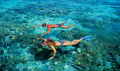 gbr_190413