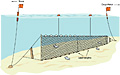 gillnet_060113