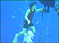 harry_potter_081105