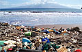 hawaii-rubbish_210708
