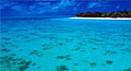 heron-island_220609