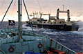 jap_vessels_090207