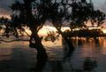 kaimana_170109