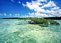 keys-coral_310312