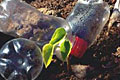 litter_081206