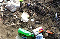 litter_200407