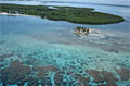 meso-reef_080312