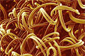 microfibres_290112
