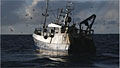 mor-boat_161211