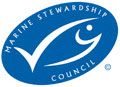 msc-logo_060309