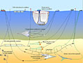 nets_250213
