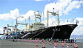 nisshin-maru_240307