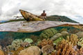 ocean-index_061012