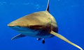 oceanic_061210