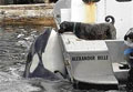 orca_luna_070306