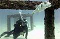 phuket-reef_050910