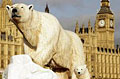 polarbear-thames_270109