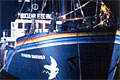 rainbowwarrier_240805