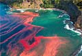 red-tide_080508