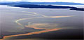 redtide_151107