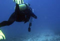 reef-damage_190410