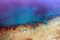 reef_280906