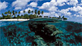 reef_290809