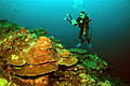 reef_survey_280106