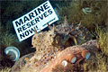 reserve_140407