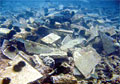 rubbish_140610