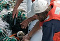 rubbish_280809