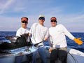 sailfish_11022005