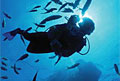 scuba-diver_190209