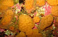 sea-bed_180213