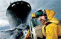 sea-shepherd_050308