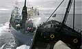 sea-shepherd_170409